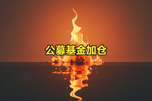 股票配资论坛哪里找 好事，公募基金一季度加仓动向，前50大重仓股名单一览